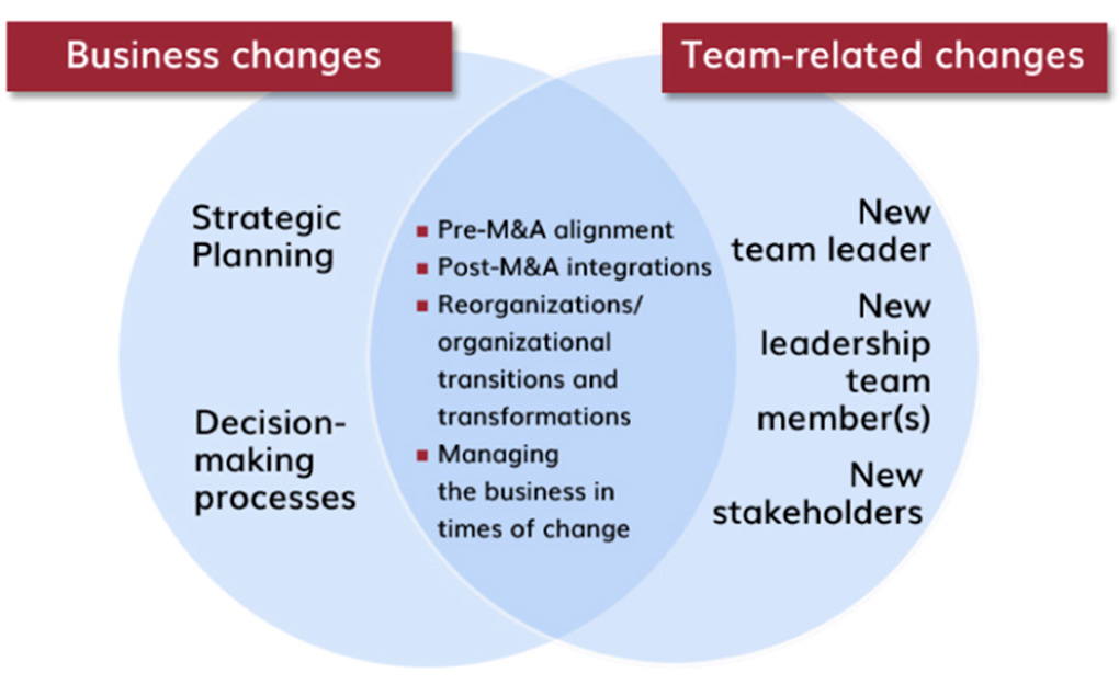 grafik_team_leadership